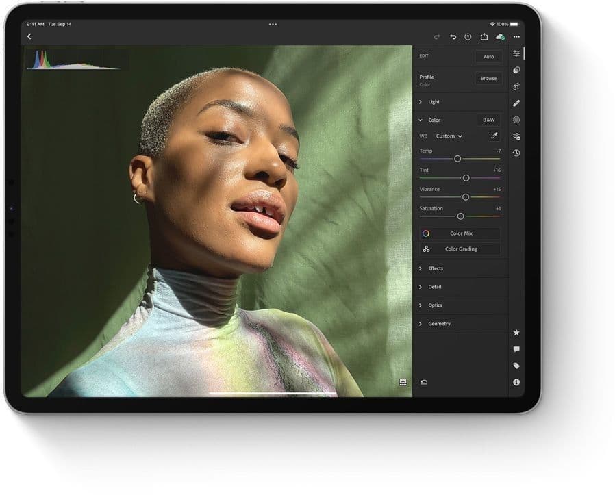 Apple iPad 10.2 (2021) 256GB WiFi Cellular - 5