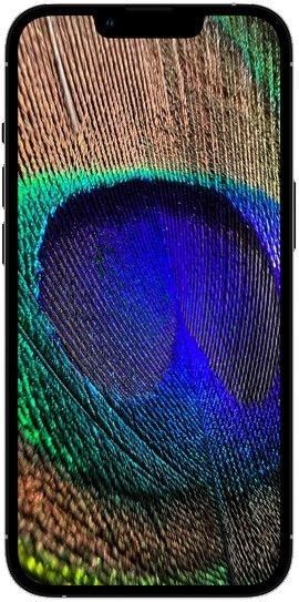 Apple iPhone 13 Pro Max 128GB - 6