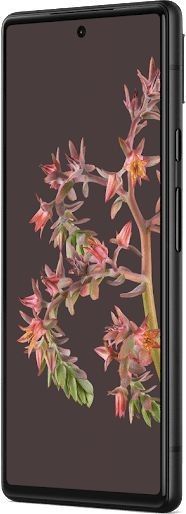 Google Pixel 6 128GB - 3